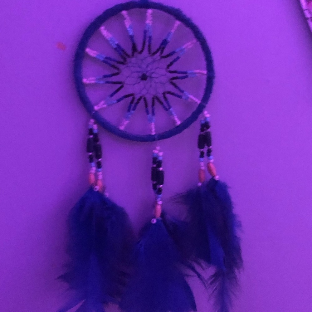 Blue Dreamcatcher with Feathers